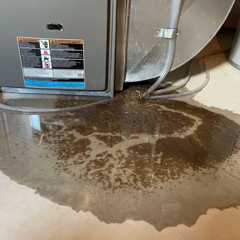 Appliance Leak Cleanup in Wheaton, MN